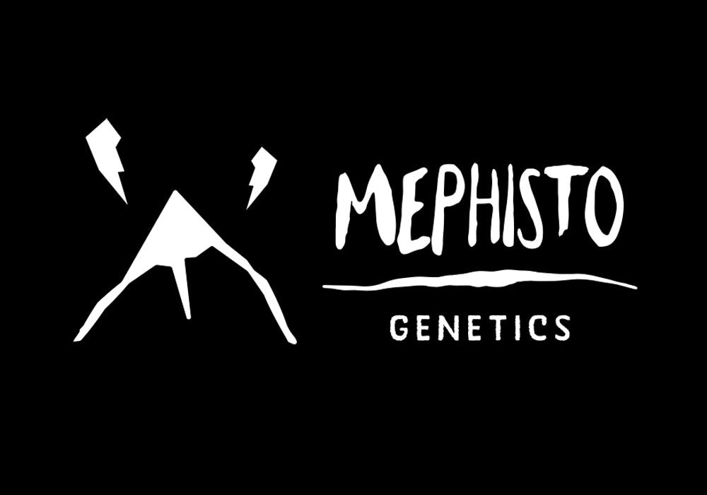 Weiße, bergähnliche Grafik mit zwei Blitzen daneben, daneben der fette, handgezeichnete Text MEPHISTO GENETICS auf schwarzem Hintergrund.
