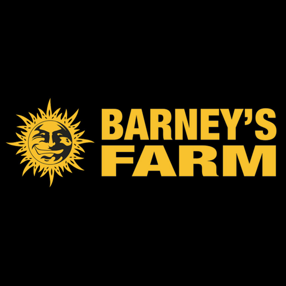 Gelber Text Barneys Farm neben einer stilisierten gelben Sonne mit einem Gesicht, alles auf schwarzem Hintergrund.