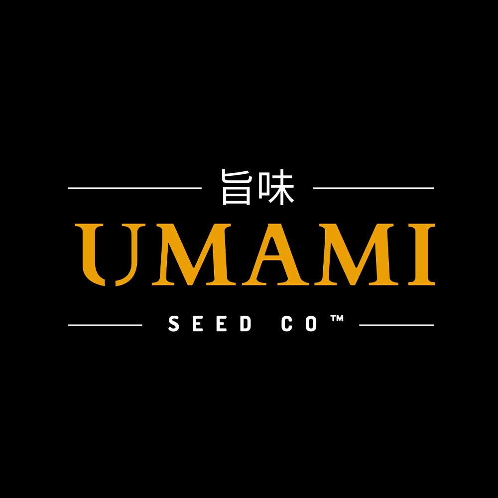 Logo für Umami Seed Co. mit dem Wort UMAMI in großen orangefarbenen Buchstaben, darüber japanische Schriftzeichen und darunter SEED CO, alles auf schwarzem Hintergrund mit weißen Linien.