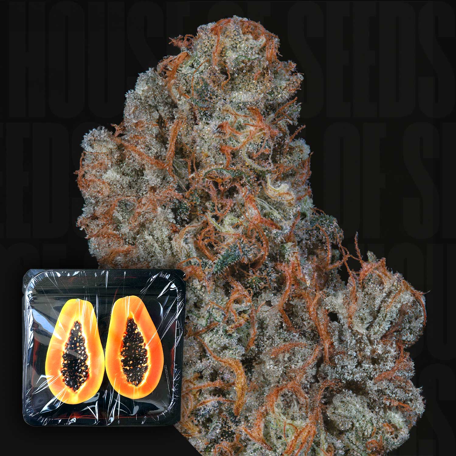 Nahaufnahme von „Riviera Drip“ von Nine Weeks Harvest mit einer Einblendung einer halbierten Papaya in einer mit Plastikfolie abgedeckten schwarzen Schale.