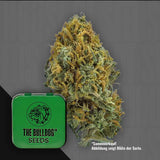 TB Skittlez Auto