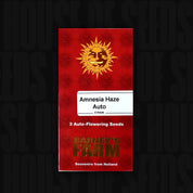 Rote Barney’s Farm Verpackung „Amnesia Haze Auto (3 Samen)“ mit stilisierter Sonne und Aufschrift „Souvenirs aus Holland“