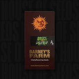 Bruce Banner Auto