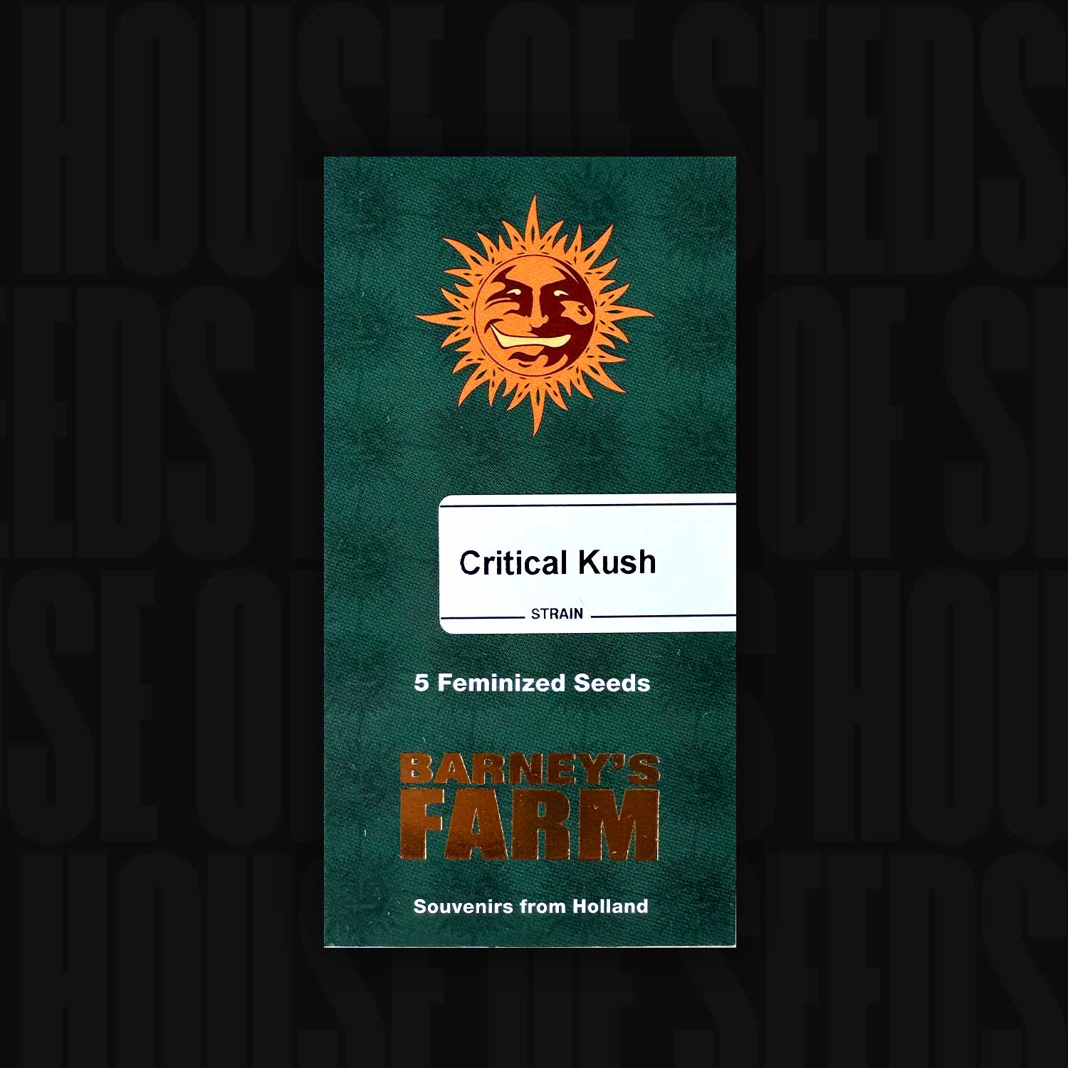 Grünes Barney’s Farm Critical Kush Päckchen mit orangefarbenem Sonnenlogo, Aufschrift 5 feminisierte Samen und Souvenirs aus Holland