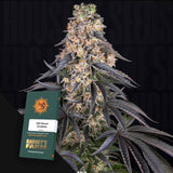 Girl Scout Cookies