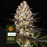 Hindu Kush