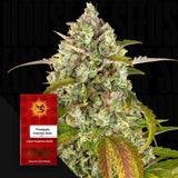 Pineapple Express Auto