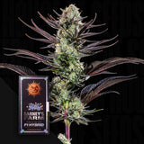 Thin Mint Frosting F1
