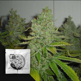 SFV OG Kush