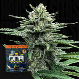 AUTO Strawberry Banana