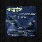Blaue Kashmir Black Verpackung von Grounded Genetics mit Stammbaum der Sorten und Produktinfos