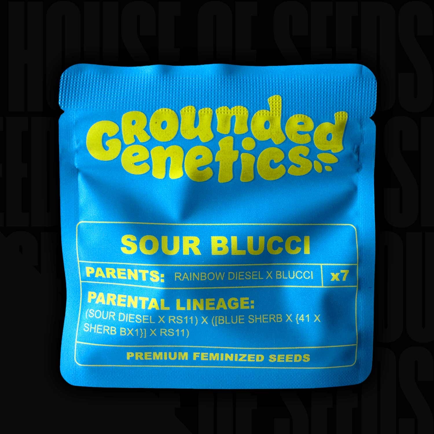 Hellblaue Sour Blucci Verpackung von Grounded Genetics mit Rainbow Diesel × Blucci, 7 Samen und Sortenangaben