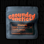 Schwarze wiederverschließbare Grounded Genetics Zoapaya Packung mit orangefarbenem Branding und Elternangaben