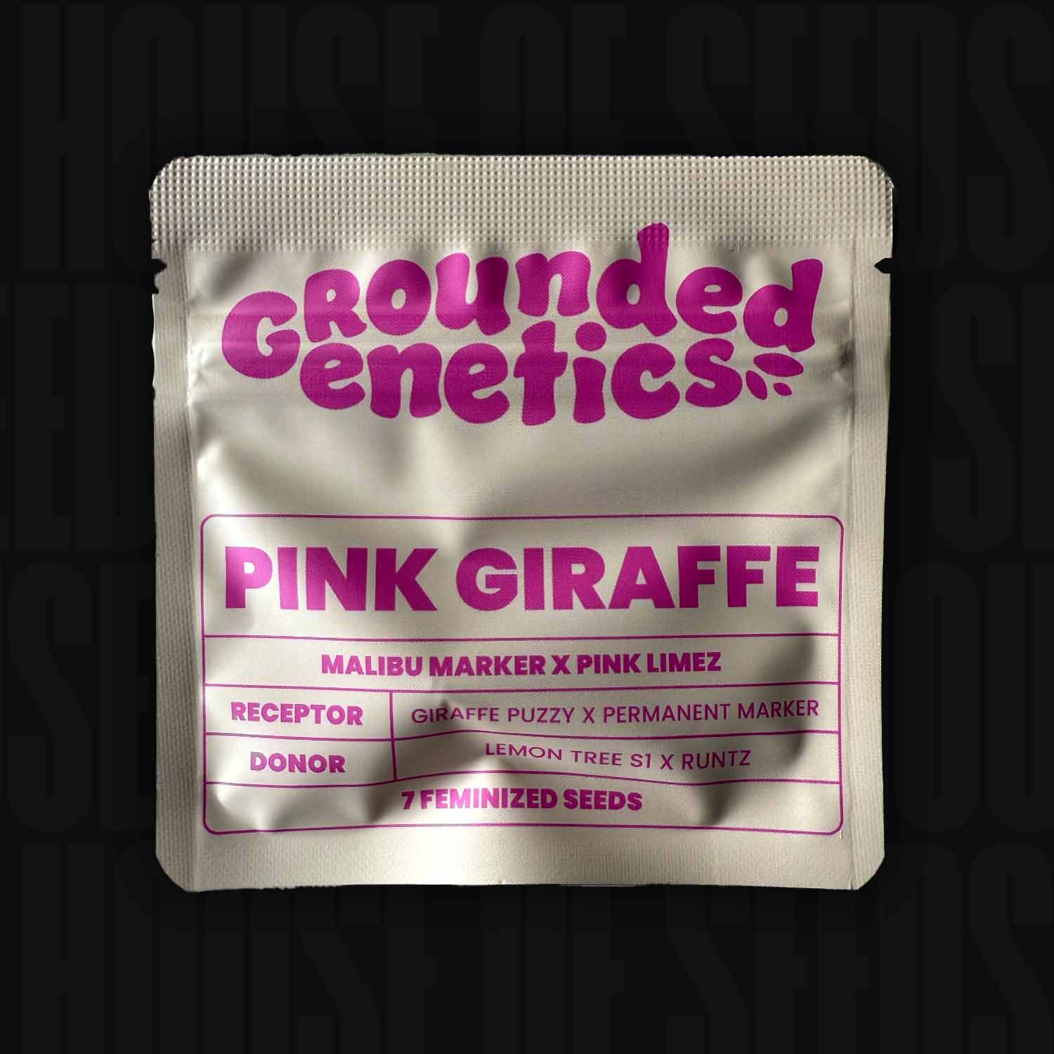 Grounded Genetics Pink Giraffe Packung mit 7 feminisierten Samen.