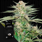 Screwdriver OG