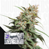 Pineapple Poison