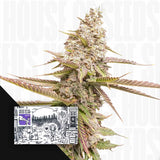 Strawberry Chemdawg OG