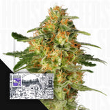 TnT Trichome