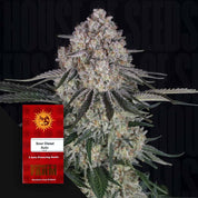 Nahaufnahme einer frostigen Cannabisknospe mit einem roten Sour Diesel Auto-Paket von Barney's Farm in der Ecke.